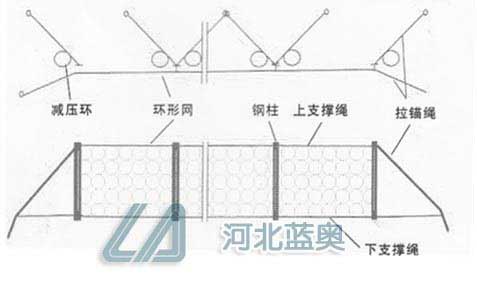 h(hun)α(dng)o(h)W(wng)bʾD